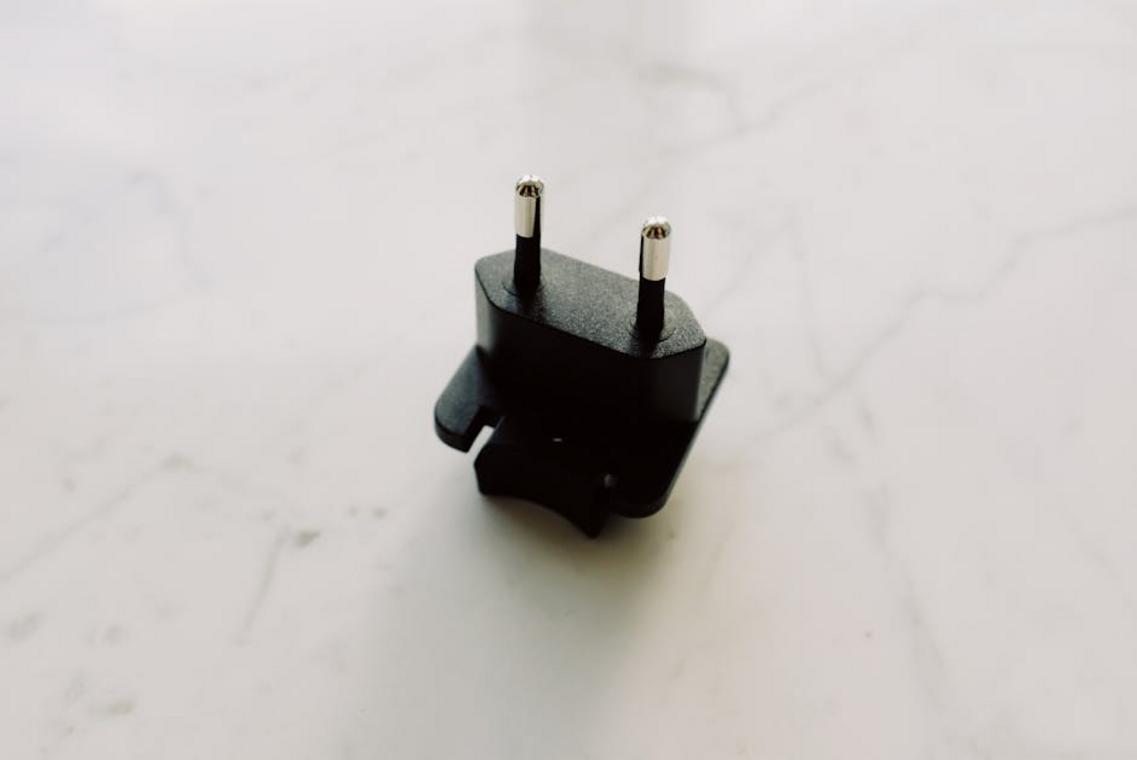 seasonal adaptations