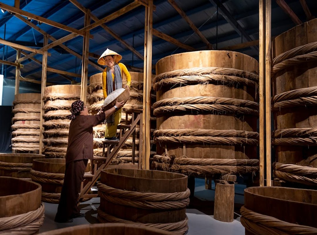art of fermentation
