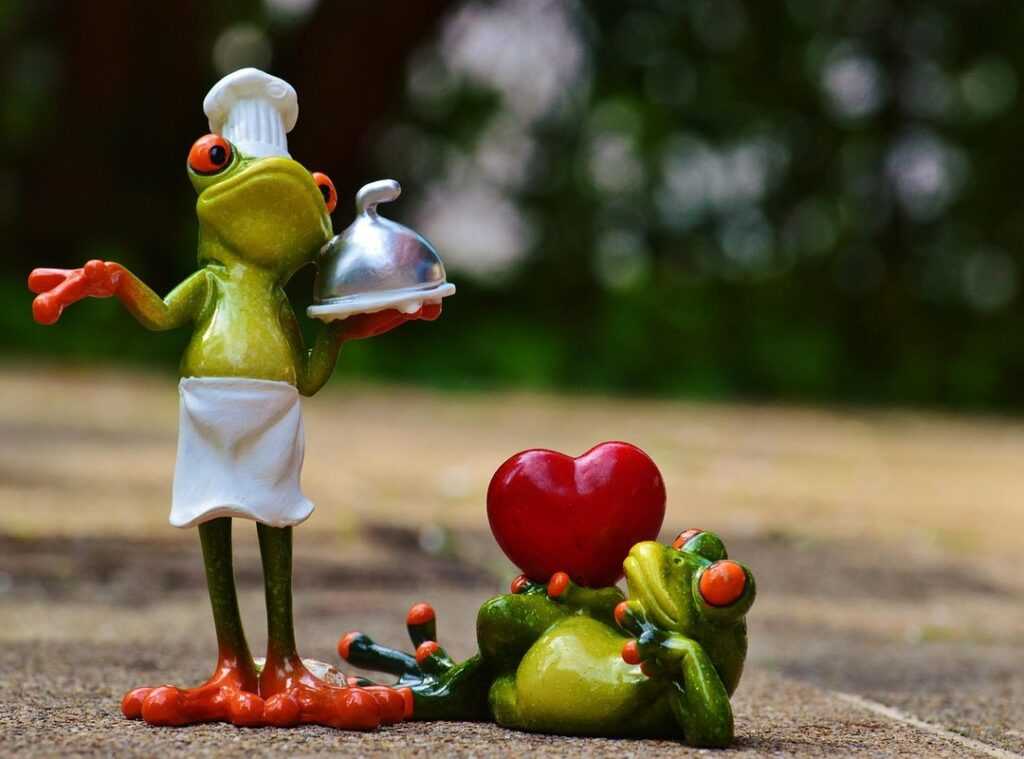 leftovers gourmet meals