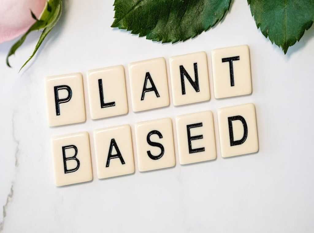 plant-based cuisine
